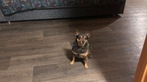 Кинула прямо в цель