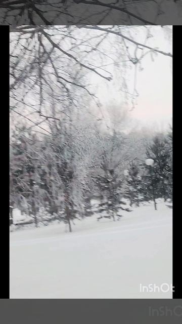 Птичка прилетела на корм. Кормлю птиц🐦🐥 смотреть онлайн