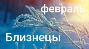 Таро расклад для Близнецов на февраль 2026 года