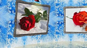 Розы на Снегу в Ледяной Галерее 1 от Киностудии Мудрого Кота Тимофея!