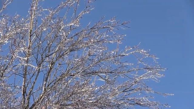 11 января - Новые перемены ждут. смотреть онлайн