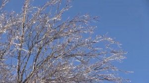 11 января - Новые перемены ждут.