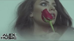 🅳🆁. 🅰🅻🅱🅰🅽 🅵🅴🅰🆃. 🆂🆃🅰🆁🅲🅻🆄🅱 - 𝐂𝐡𝐢𝐤𝐢 𝐂𝐡𝐢𝐤𝐢 𝐁𝐚𝐥𝐨𝐨 𝐑𝐞𝐰𝐨𝐫𝐤