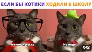 ЕСЛИ БЫ КОТИКИ ХОДИЛИ В ШКОЛУ - ВСЕ СЕРИИ