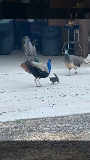 Вы на физику не смотрите, я духом сильновый😎