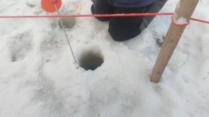 video5413330544555494939