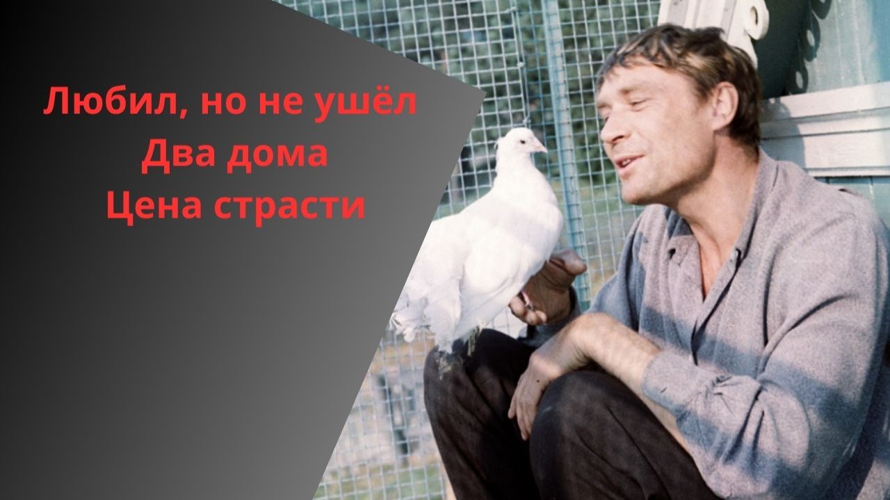 Он любил до дрожи, но не ушёл: тайный роман Михайлова смотреть онлайн