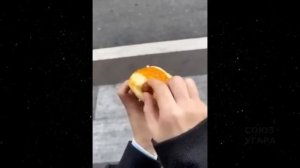 45 МИНУТ НЕВОЗМОЖНО 🤣 ОСТАНОВИТЬСЯ СМЕЯТЬСЯ САМЫЕ НЕЛЕПЫЕ И РЖАЧНЫЕ ПРИКОЛЫ 2025 УГАРНАЯ ПОДБОРКА