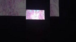 играем в астро плэй рум