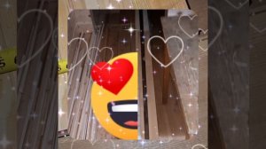 1000045665.mp4 (Собака наблюдает за устройством лестницы на 2 этаж в доме А-фрейм)