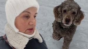 Болталка в Уральском лесу/ Неожиданная встреча/