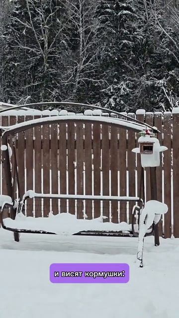 Плетеная кормушка в деле смотреть онлайн