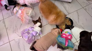 Сегодня все маму радуют, у всех аппетит хороший.