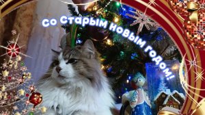 Со Старым новым годом! Красивое поздравление