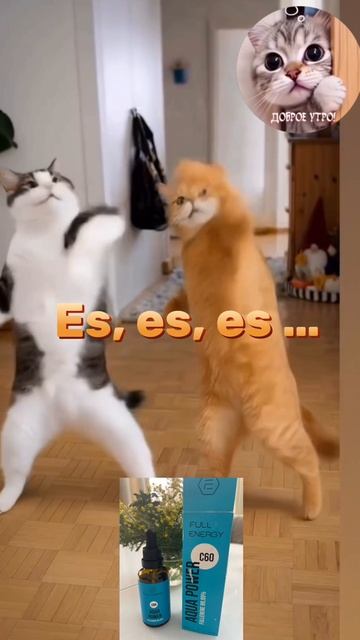 Фуллерен - это энергия, молодость и долголетие🔥🔥🔥 смотреть онлайн