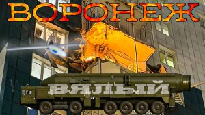 Вялый Орешник и Воронеж