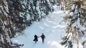 1000010144.mp4 🌲🌲🌲«Сказочная зима: путешествие сквозь снег и огни».🌲🌲🌲