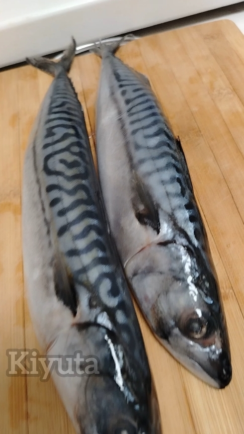 Маринованная скумбрия с луком в банке смотреть онлайн