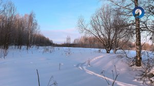 ОДИНОЧНАЯ ОХОТА НА ЗАЙЦА БЕЛЯКА. ПЕРВАЯ ОХОТА 2026