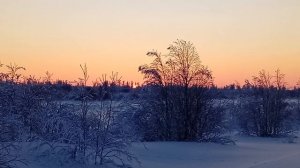 Первое солнце январь 2026 г.