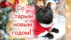 Красивое поздравление СО СТАРЫМ НОВЫМ ГОДОМ!