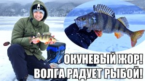 ЖОР ВОЛЖСКОГО ОКУНЯ, лифтую горбачей на балансир, рыбалка с эхолотом ПРАКТИК