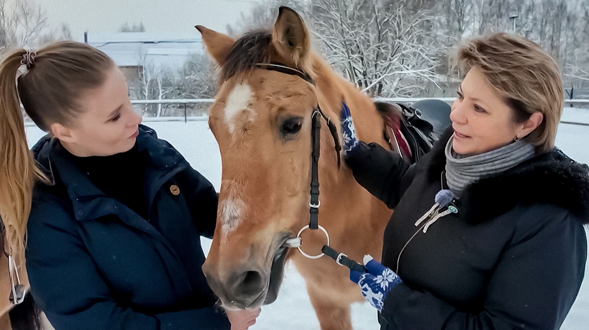 Редчайшая порода с тысячелетней историей: чем уникальны башкирские лошади?