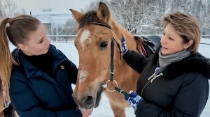 Редчайшая порода с тысячелетней историей: чем уникальны башкирские лошади?