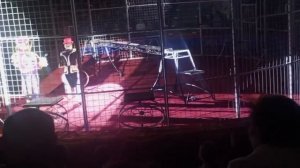 Цирк, Кисловодск 11.01.26