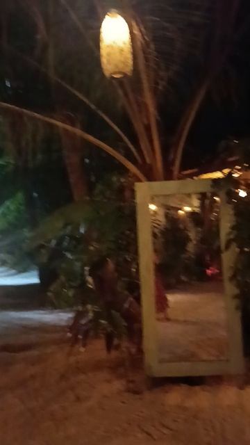 Ресторан Kaage Bistro, остров Камаду, Мальдивы , январь 2026 (Kaage Bistro, Kamadhoo, Maldives 2026)