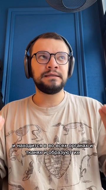 Функции белков смотреть онлайн