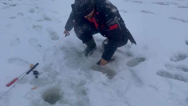 Онлайн с водоема смотреть онлайн