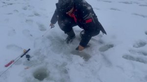 Онлайн с водоема