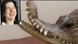 670 СЕКУНДА СМЕХА (Виндяй)