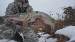 НОГИ ЗАТРЯСЛИСЬ, КОГДА Я УВИДЕЛ ЧТО КЛЮНУЛО!! Первая рыбалка на спиннинг 2025.