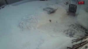 Зимой работы много. по очистке снега       ПОДПИШИСЬ