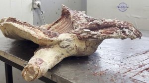 Якутск в марте