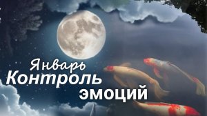 Мастер-класс "Контроль эмоций. Январь" Живой эфир с Валерией Пузыревой