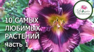 10 САМЫХ ЛЮБИМЫХ РАСТЕНИЙ. ЧАСТЬ 1