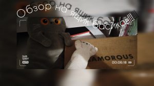 обзор на ящик для басят!!!