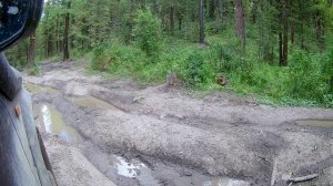 Дорога на Мультинские озёра. Клип.