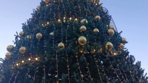 Кисловодская центральная ёлка у Нарзанной галереи #Новыйгод2026