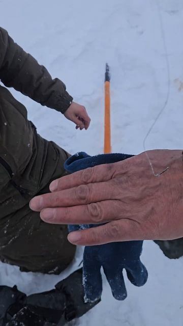 Рыбалка на жерлицы