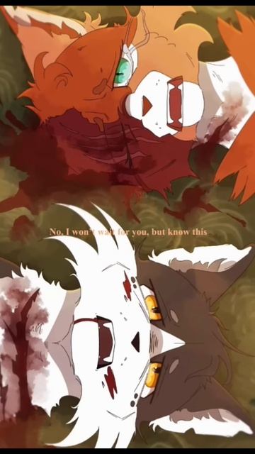 ✦Коты воители✦/ 🌿☯︎Яролика и Быстролап☯︎🌿 смотреть онлайн