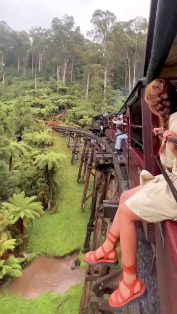 Видео от Выживание смотреть онлайн