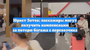 Юрист Зотов: пассажиры могут получить компенсацию за потерю багажа с перевозчика
