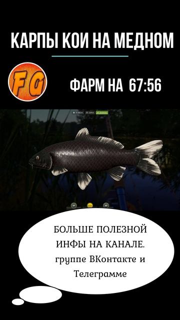 Карпы Кои на озере Медное. Русская рыбалка 4. рр4.  #russianfishing4 смотреть онлайн