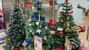 В Волгограде второклассницу не пустили на новогоднюю елку из-за 250 рублей