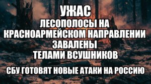 ⚡ Утренний Выпуск Новостей 11.01.26