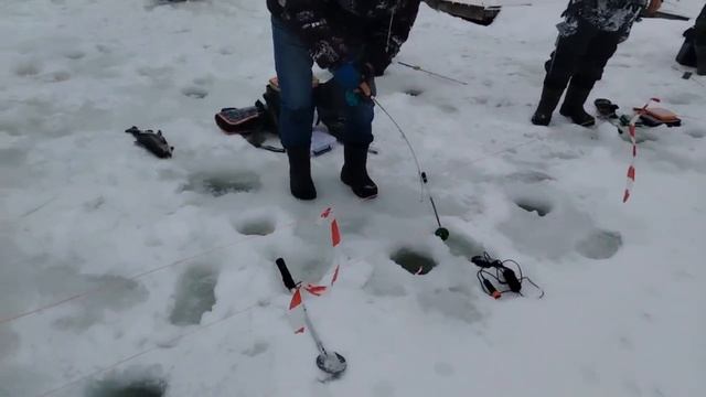 11.01.26 г. РК Волна. смотреть онлайн